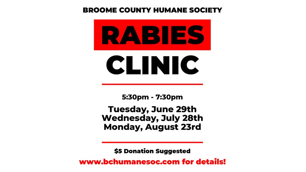 Monthly Rabies Clinics
