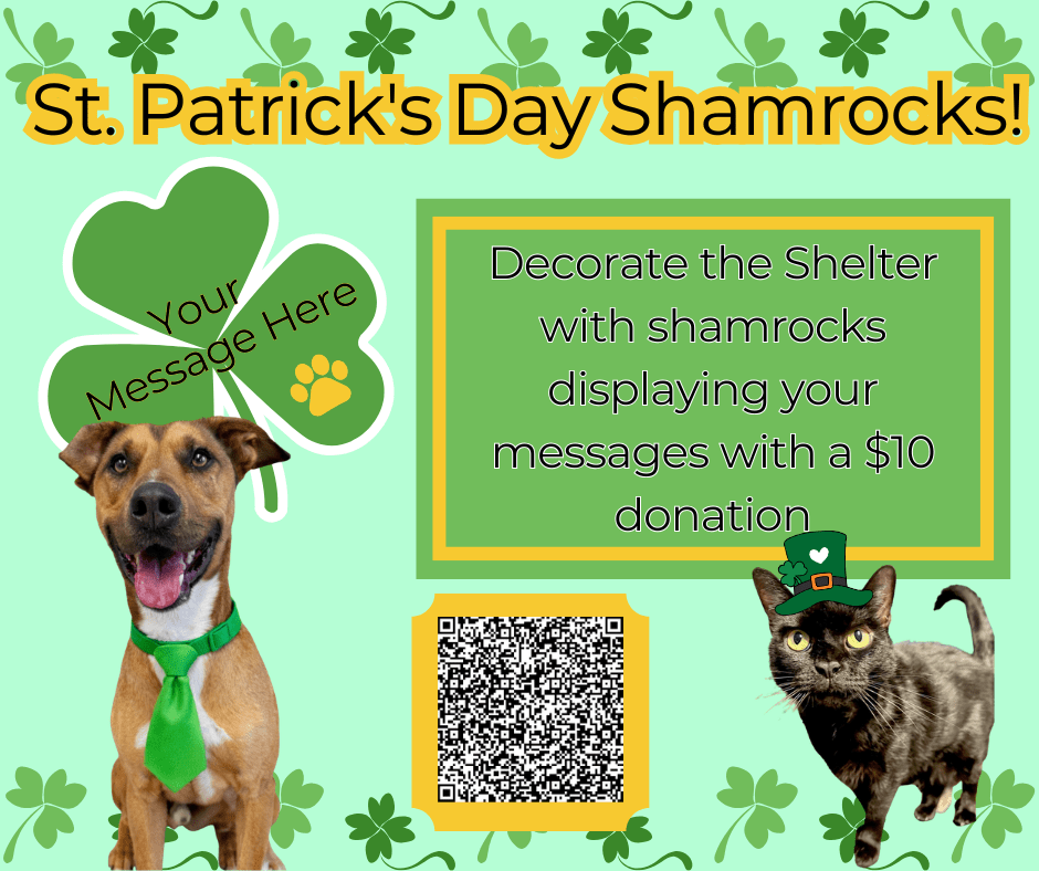 Saturday, July 16, 2022 from 4-7pm